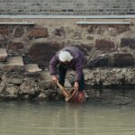 pexels-zhicheng-zhang-312594413-29900813