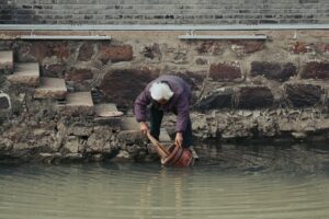 pexels-zhicheng-zhang-312594413-29900813